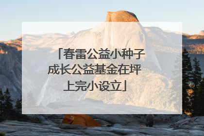 春雷公益小种子成长公益基金在坪上完小设立