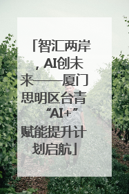 智汇两岸，AI创未来——厦门思明区台青“AI+”赋能提升计划启航