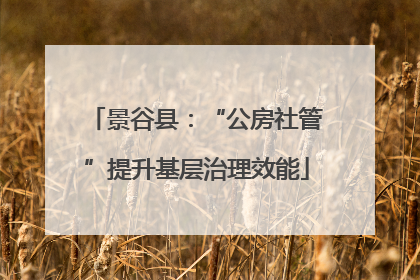 景谷县：“公房社管”提升基层治理效能