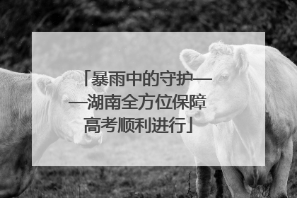 暴雨中的守护——湖南全方位保障高考顺利进行