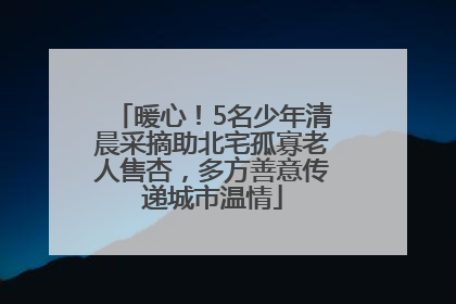 暖心！5名少年清晨采摘助北宅孤寡老人售杏，多方善意传递城市温情