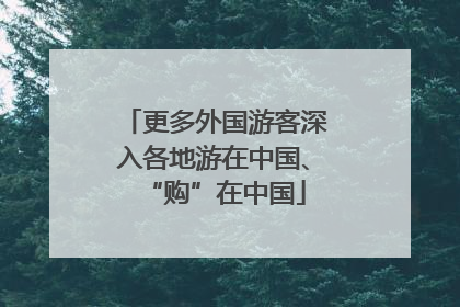 更多外国游客深入各地游在中国、“购”在中国