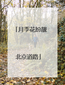 月季花扮靓北京道路