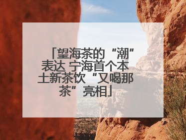 望海茶的“潮”表达 宁海首个本土新茶饮“又喝那茶”亮相
