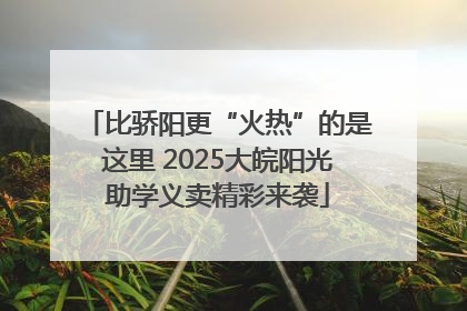比骄阳更“火热”的是这里 2025大皖阳光助学义卖精彩来袭