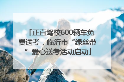 正直驾校600辆车免费送考，临沂市“绿丝带”爱心送考活动启动