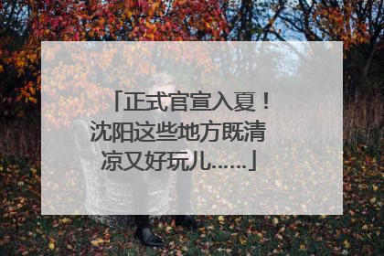 正式官宣入夏！沈阳这些地方既清凉又好玩儿……