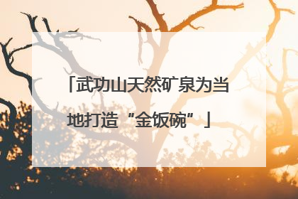 武功山天然矿泉为当地打造“金饭碗”