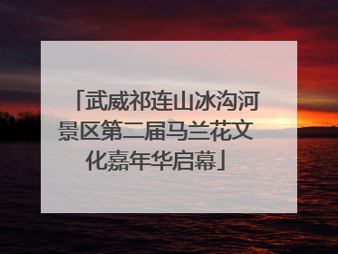 武威祁连山冰沟河景区第二届马兰花文化嘉年华启幕