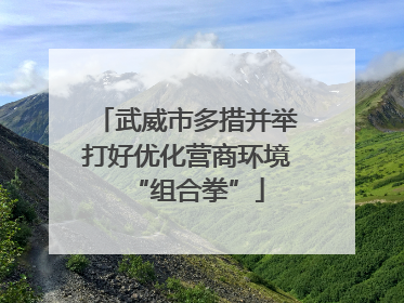 武威市多措并举打好优化营商环境“组合拳”