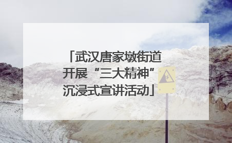 武汉唐家墩街道开展“三大精神”沉浸式宣讲活动