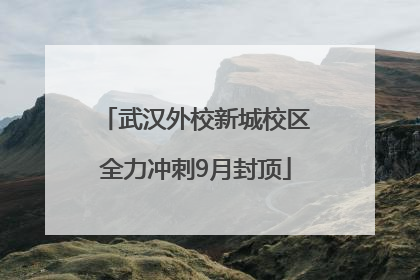 武汉外校新城校区全力冲刺9月封顶