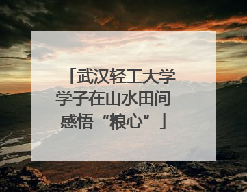 武汉轻工大学学子在山水田间感悟“粮心”