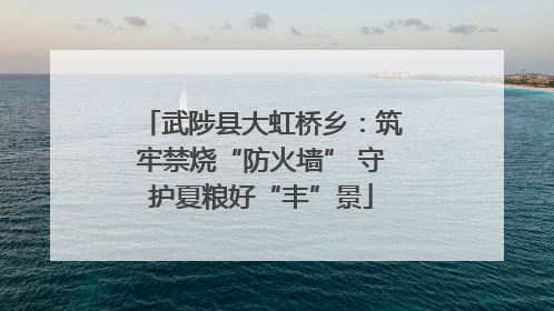 武陟县大虹桥乡：筑牢禁烧“防火墙” 守护夏粮好“丰”景