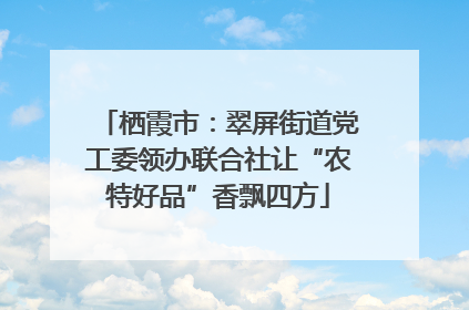 栖霞市：翠屏街道党工委领办联合社让“农特好品”香飘四方