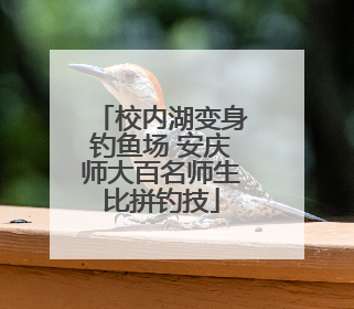 校内湖变身钓鱼场 安庆师大百名师生比拼钓技