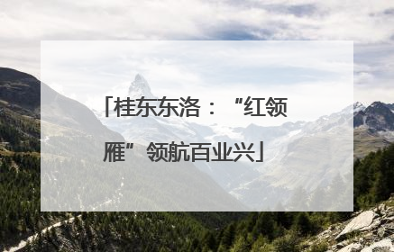 桂东东洛：“红领雁”领航百业兴