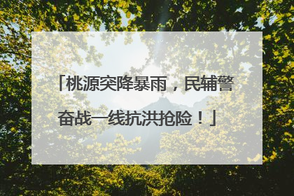 桃源突降暴雨，民辅警奋战一线抗洪抢险！