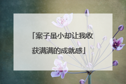 案子虽小却让我收获满满的成就感