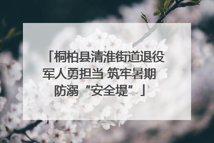 桐柏县清淮街道退役军人勇担当 筑牢暑期防溺“安全堤”