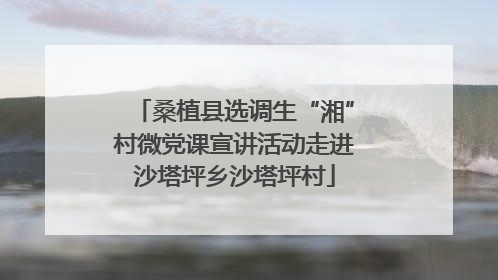桑植县选调生“湘”村微党课宣讲活动走进沙塔坪乡沙塔坪村