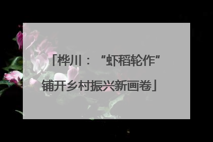 桦川：“虾稻轮作”铺开乡村振兴新画卷