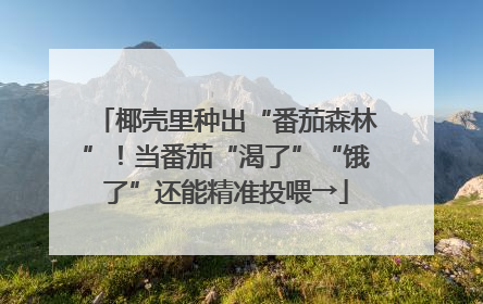 椰壳里种出“番茄森林”！当番茄“渴了”“饿了”还能精准投喂→