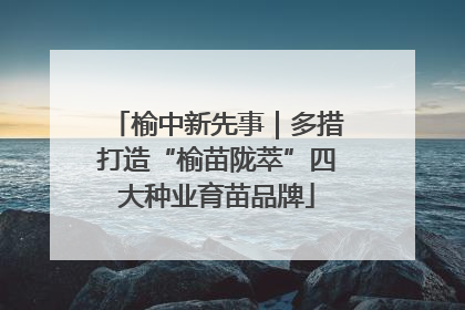 榆中新先事｜多措打造“榆苗陇萃”四大种业育苗品牌