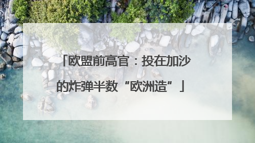 欧盟前高官：投在加沙的炸弹半数“欧洲造”