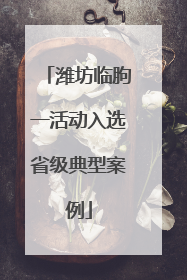 潍坊临朐一活动入选省级典型案例