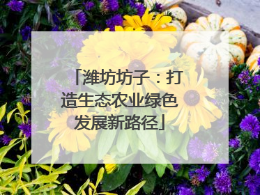潍坊坊子：打造生态农业绿色发展新路径