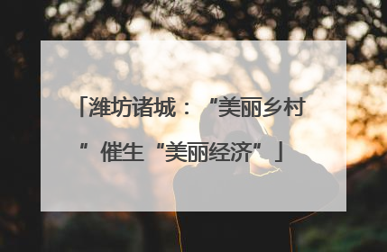 潍坊诸城：“美丽乡村”催生“美丽经济”