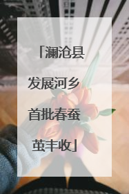 澜沧县发展河乡首批春蚕茧丰收