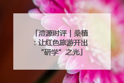 澧源时评｜桑植：让红色旅游开出“研学”之光