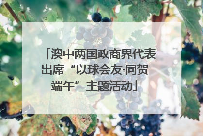 澳中两国政商界代表出席“以球会友·同贺端午”主题活动