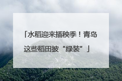 水稻迎来插秧季！青岛这些稻田披“绿装”