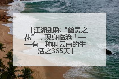 江湖别称“幽灵之花”，现身临沧！——有一种叫云南的生活之365天