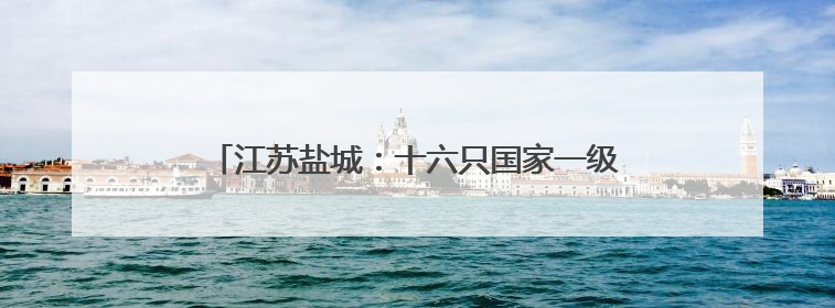 江苏盐城：十六只国家一级保护动物东方白鹳放归自然