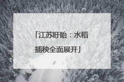 江苏盱眙：水稻插秧全面展开
