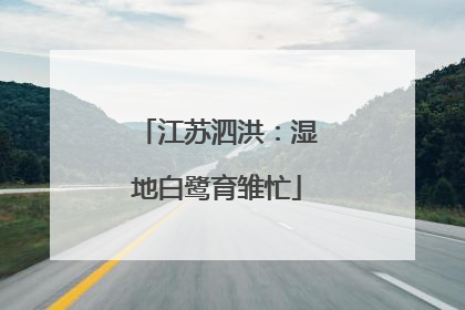 江苏泗洪：湿地白鹭育雏忙