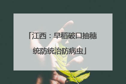 江西：早稻破口抽穗 统防统治防病虫
