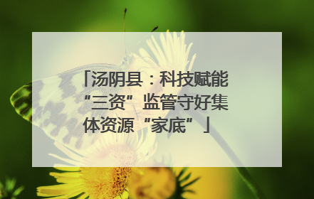 汤阴县：科技赋能“三资”监管守好集体资源“家底”