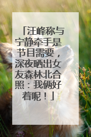 汪峰称与宁静牵手是节目需要，深夜晒出女友森林北合照：我俩好着呢！