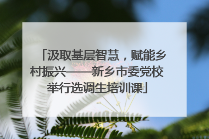 汲取基层智慧，赋能乡村振兴——新乡市委党校举行选调生培训课