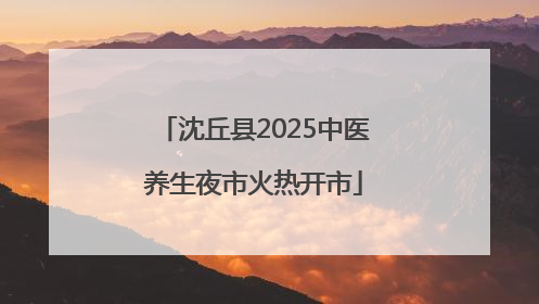 沈丘县2025中医养生夜市火热开市
