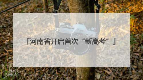 河南省开启首次“新高考”