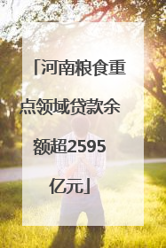 河南粮食重点领域贷款余额超2595亿元