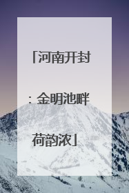 河南开封：金明池畔荷韵浓