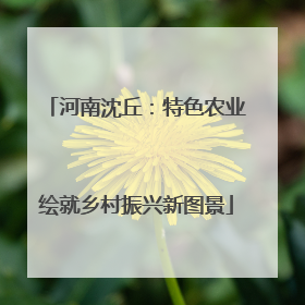河南沈丘：特色农业绘就乡村振兴新图景