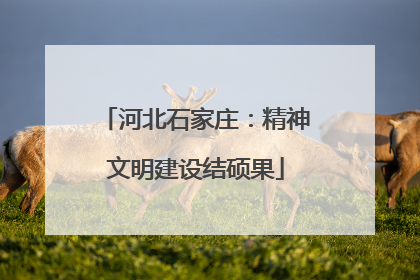 河北石家庄：精神文明建设结硕果